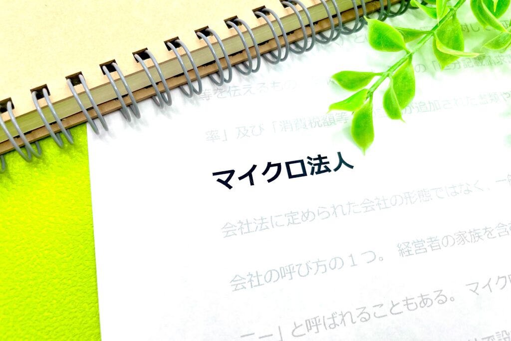 マイクロ法人化とは?