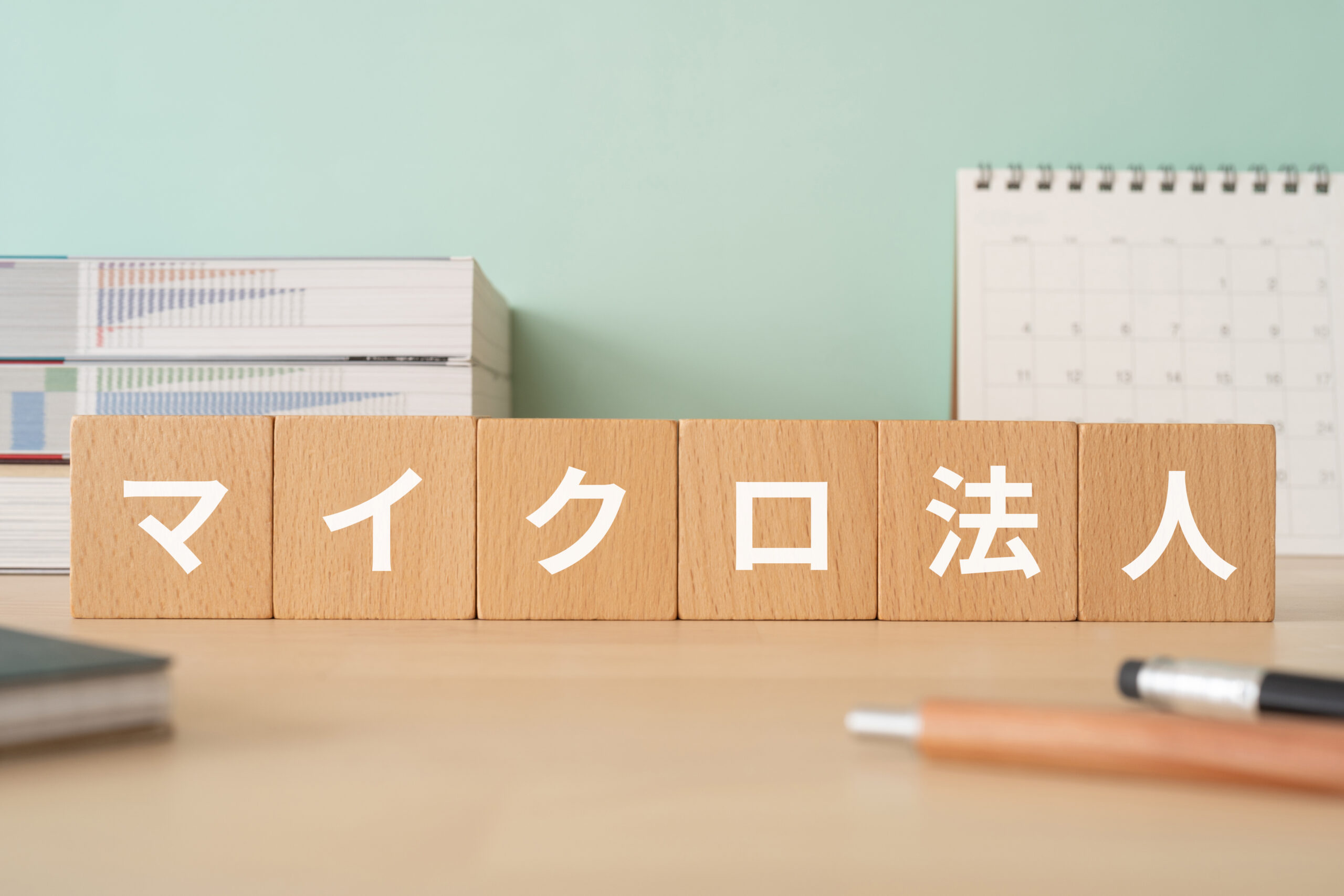 マイクロ法人とは