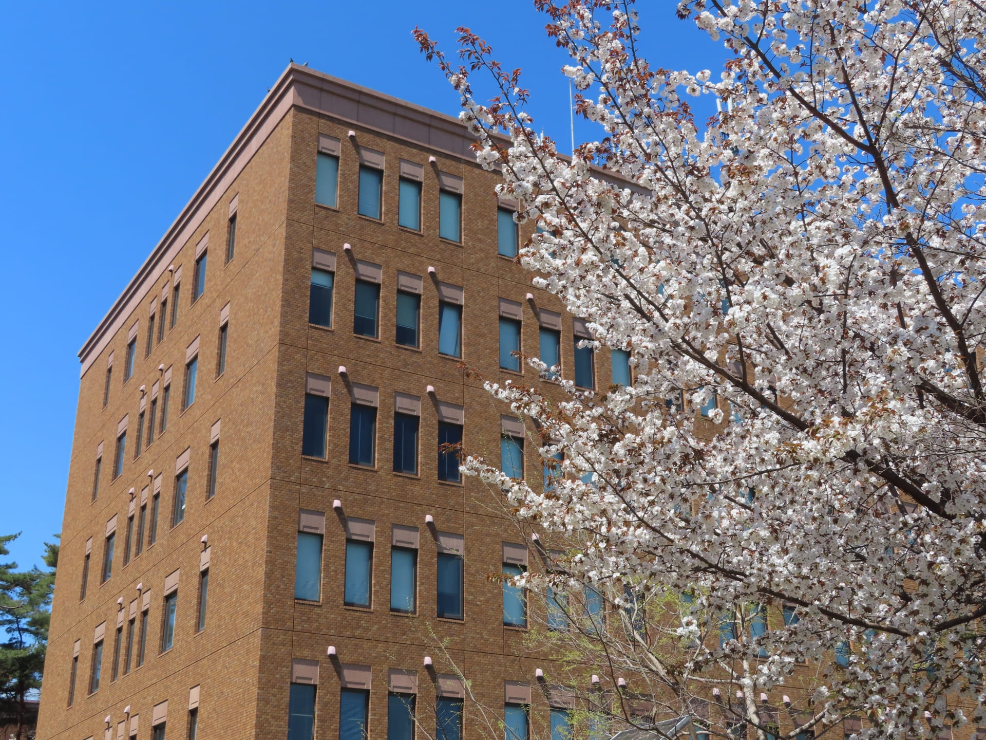 学校法人の会計基準とは？企業会計との違いや改正ポイントを解説