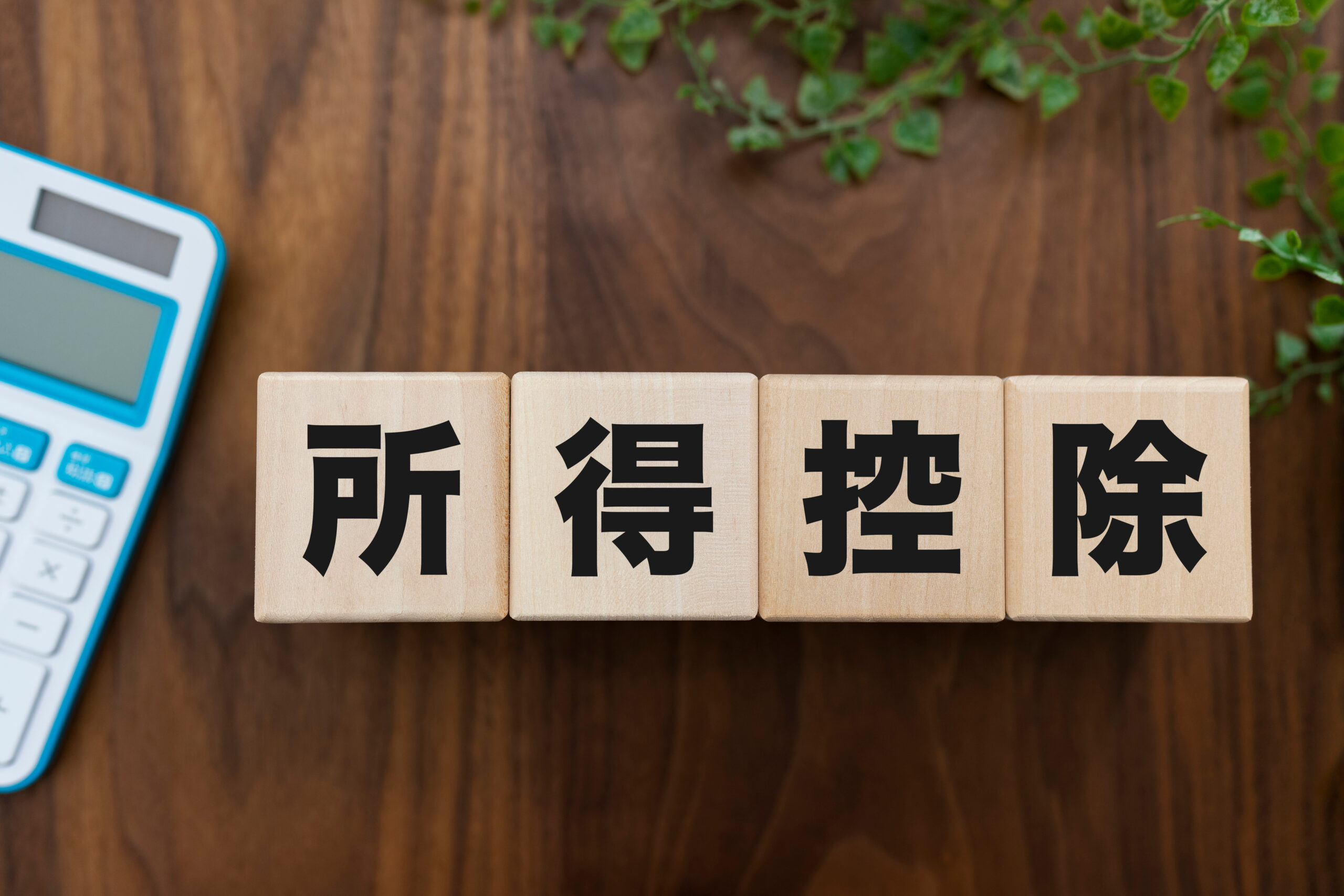 所得控除