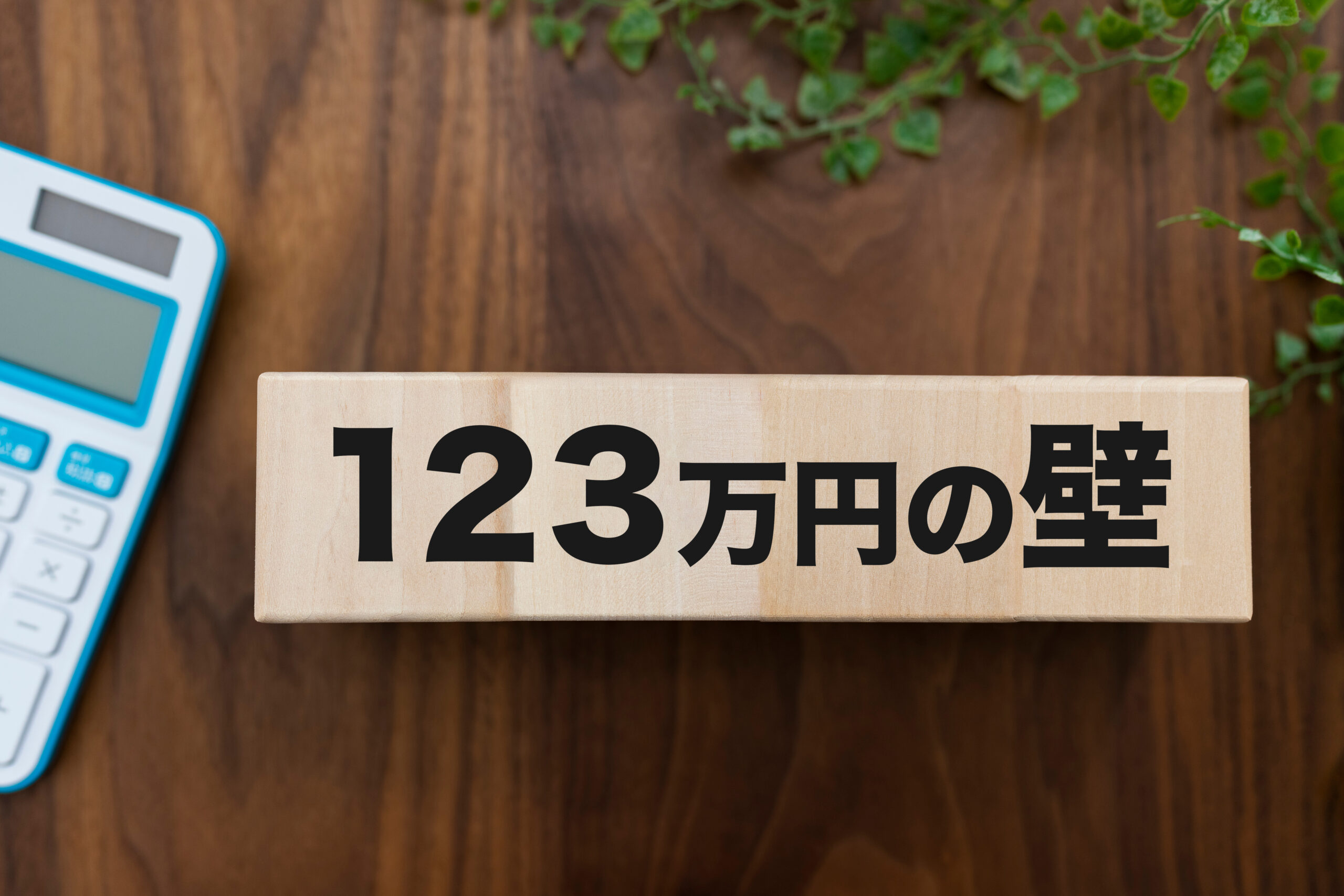 123万の壁