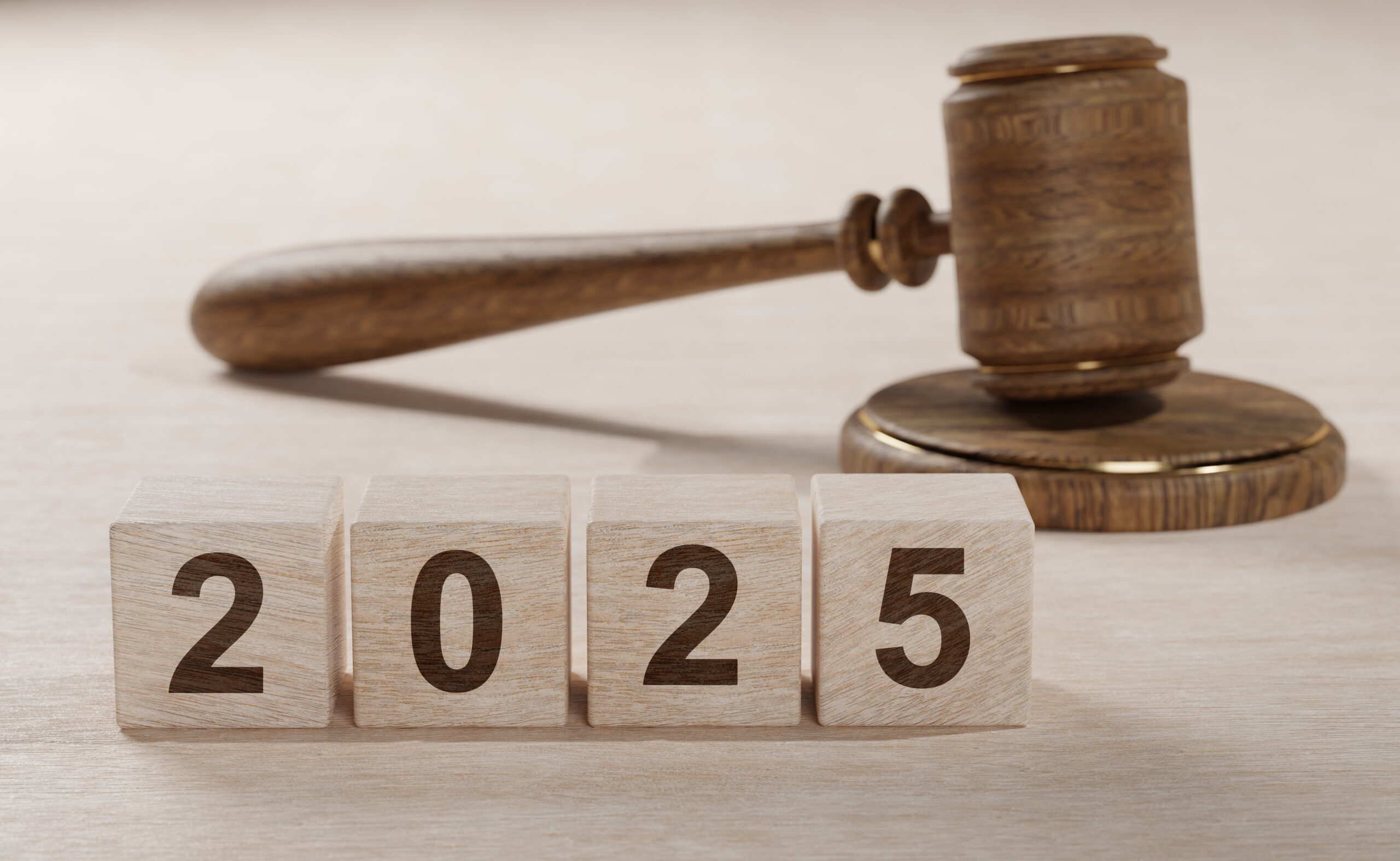 2025年税制改正